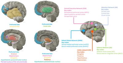 Peripheral inflammation and neurocognitive impairment: correlations, underlying mechanisms, and therapeutic implications